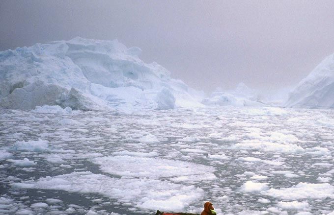 Tæt gletscheris i bunden af Scoresbysund fjorden 2002